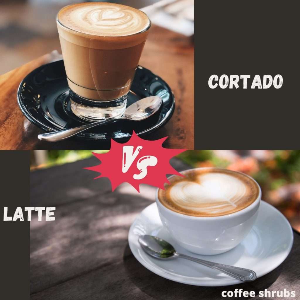 Cortado Vs. Latte, Both are delightful espresso-based drinks with milk, but they have distinct characteristics.