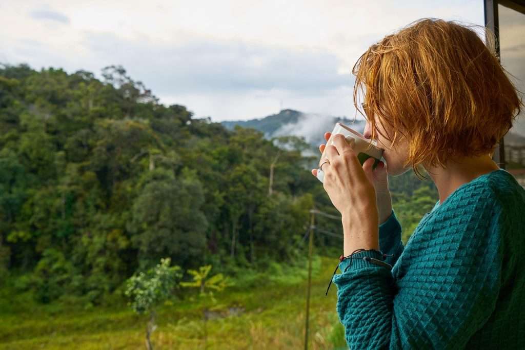 Boquete, Coffee, Panamá