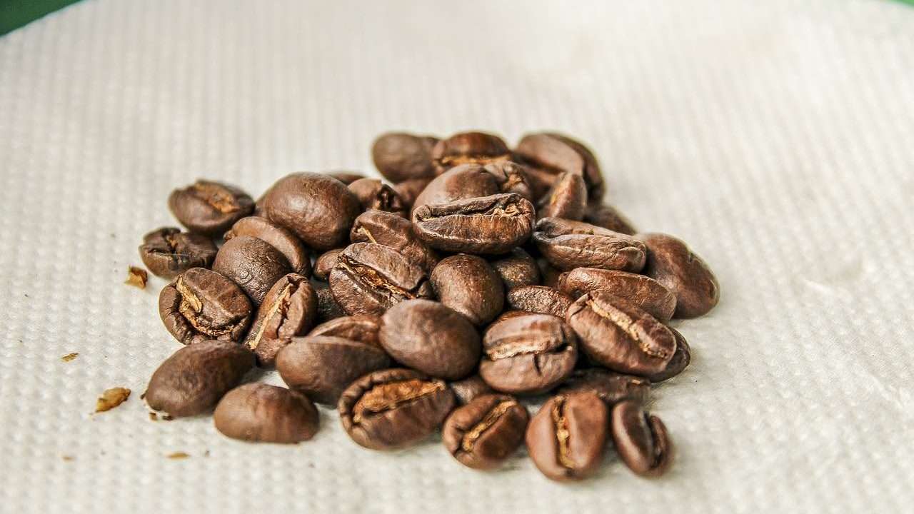 Roasted Uganda Coffee Beans 