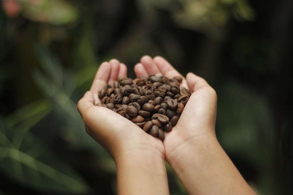 Indonesian Coffee Beans