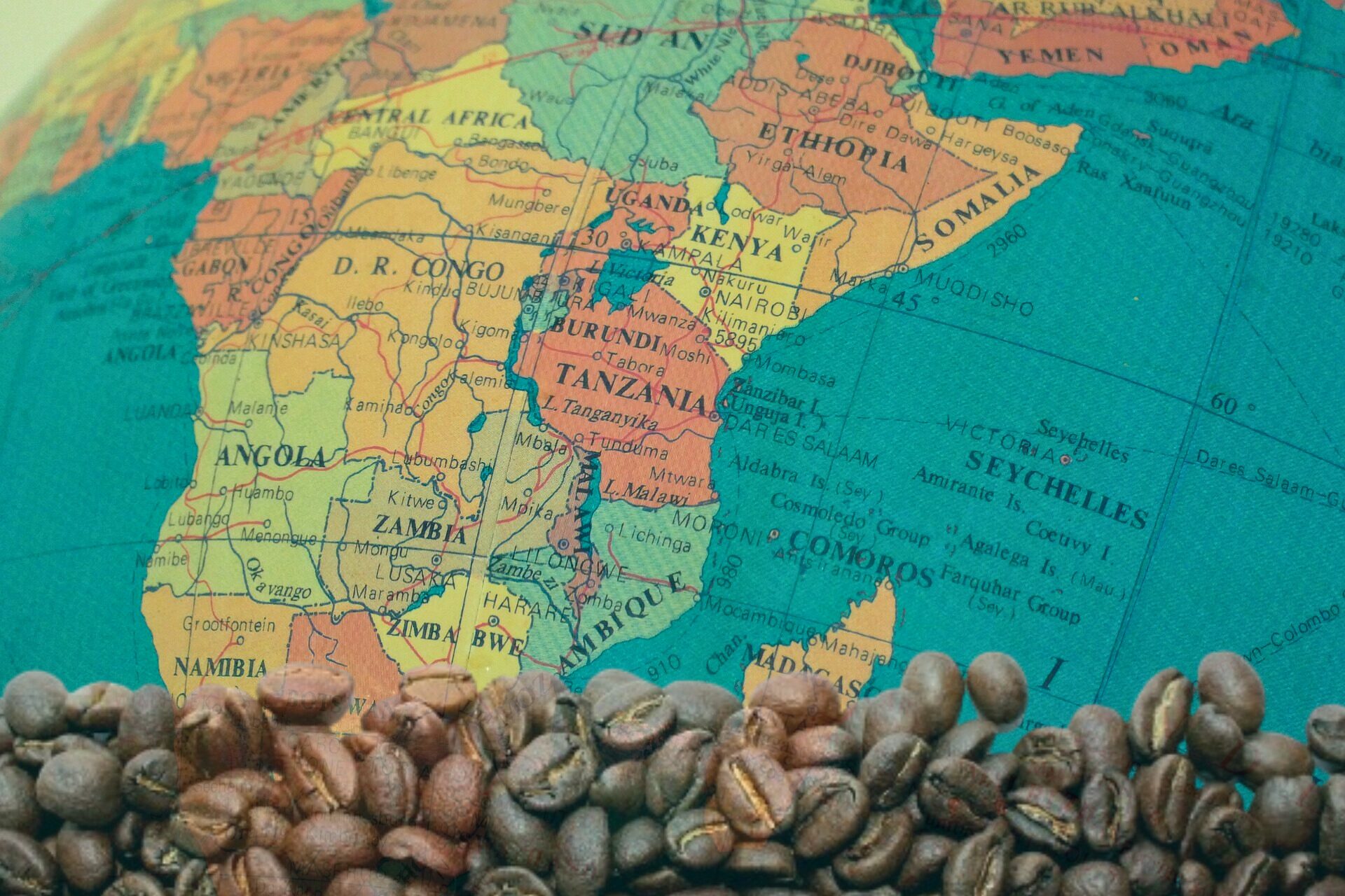 a map of the world with coffee beans